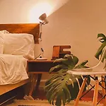 Casa Botanica IV - Guanajuato Centro