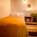 Casa Botanica IV - Guanajuato Centro