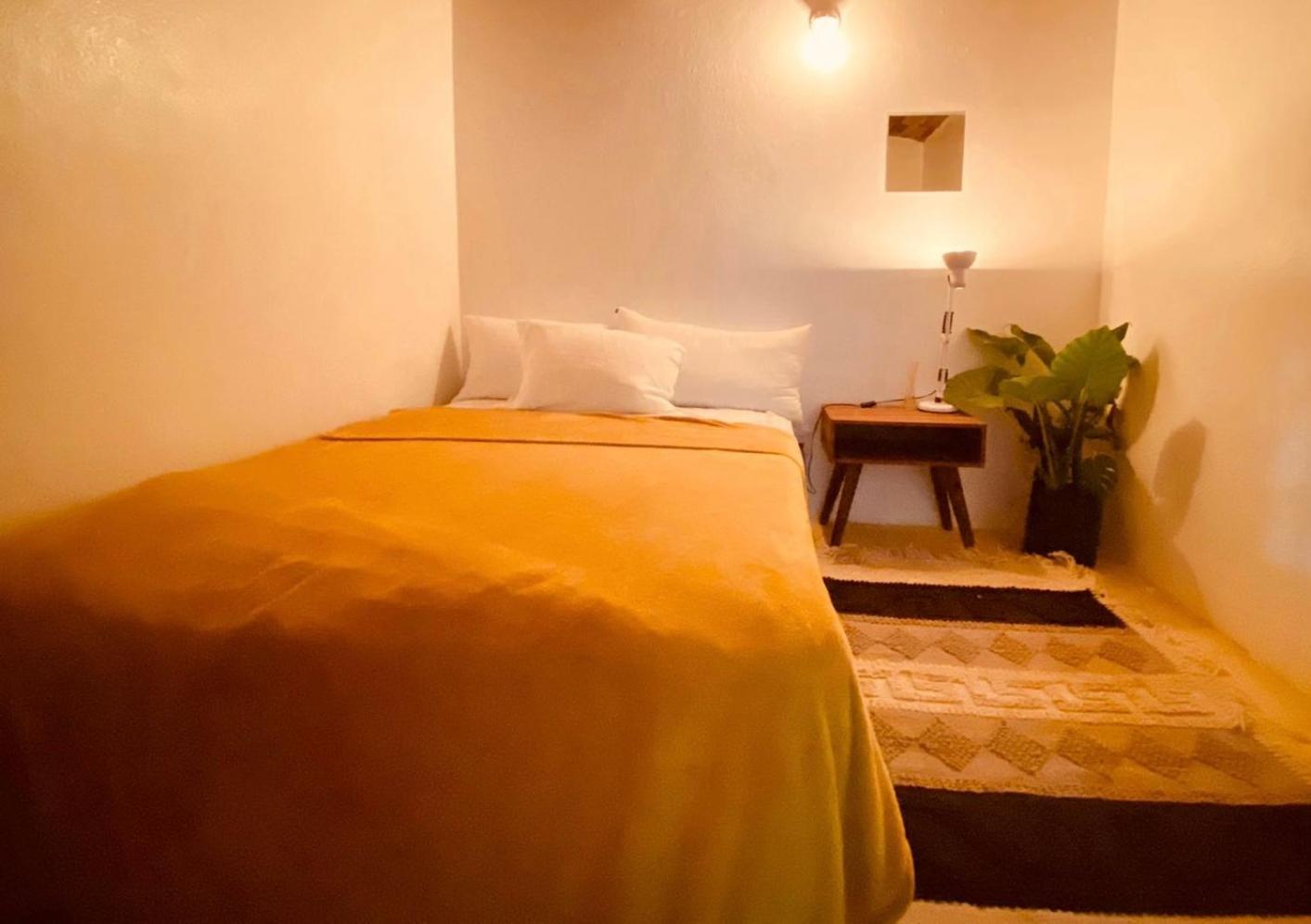 Casa Botanica Iv - Centro